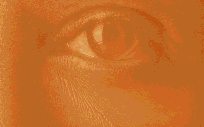 The Eye